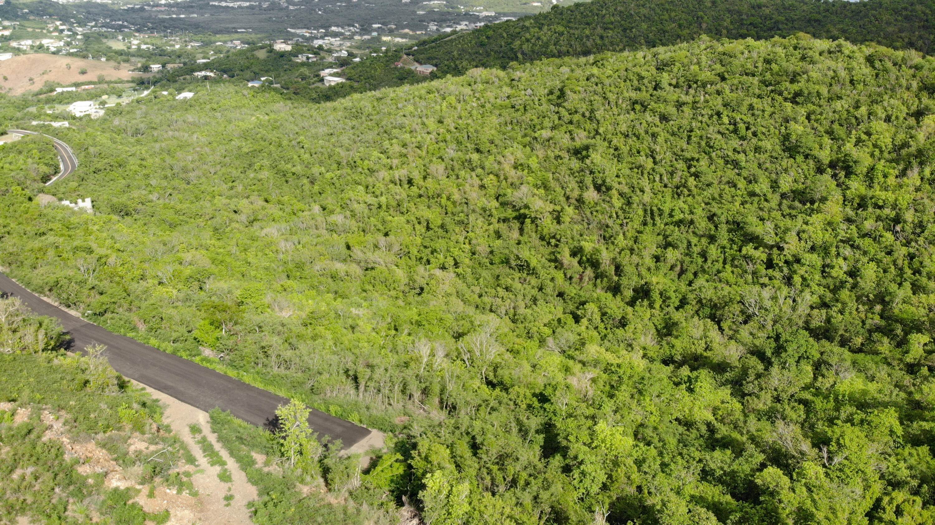 7. Land for Sale at 168 Bugby Hole CO St Croix, Virgin Islands 00820 United States Virgin Islands